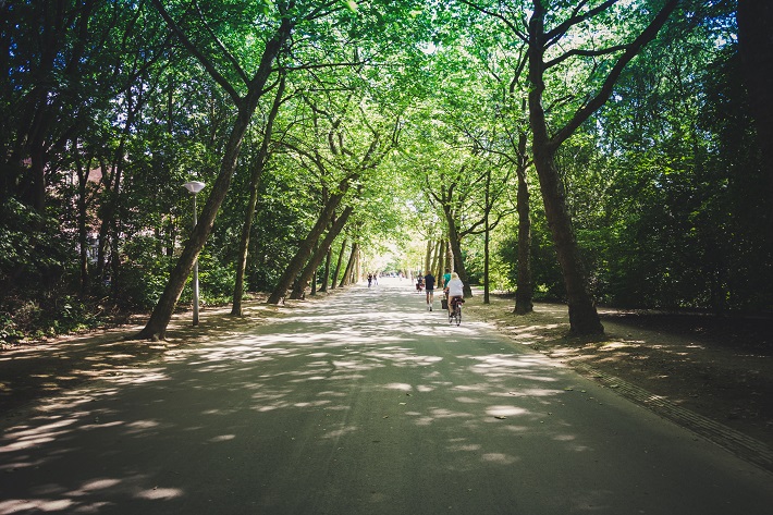 People riding bikes down a shady path in Vondelpark in Amsterdam