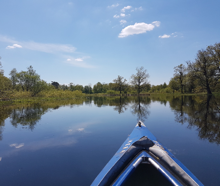 Kayaking on a river past woodland - a perfect excursion for adventurers