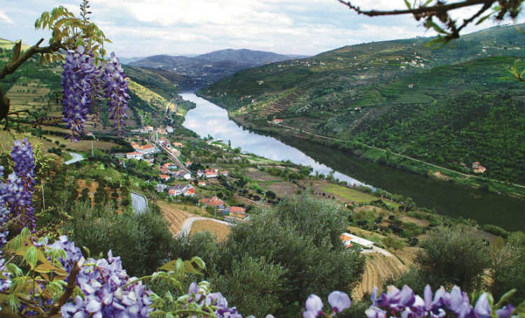 Douro Valley - Portugal River Cruise