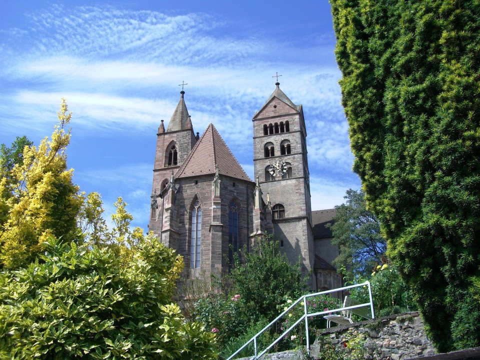 6 Image 6