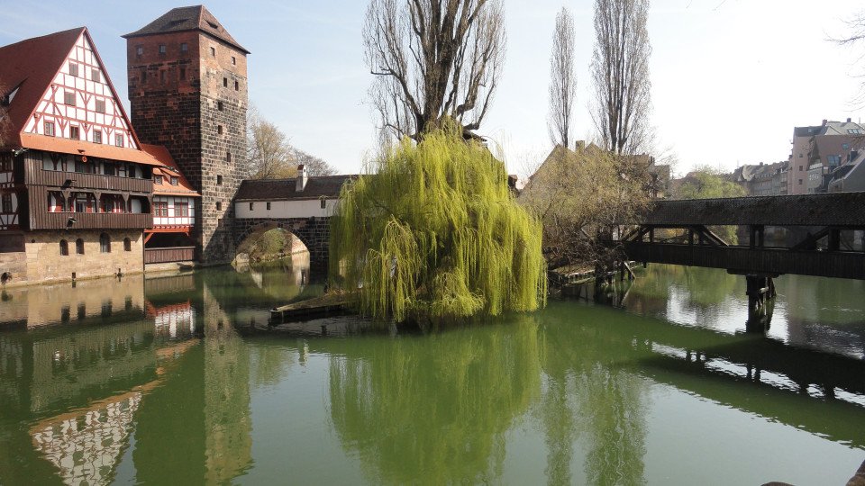 15 Image 15