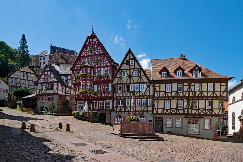 8 Image 8
