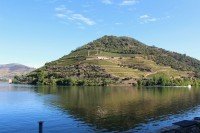 11 Image 11