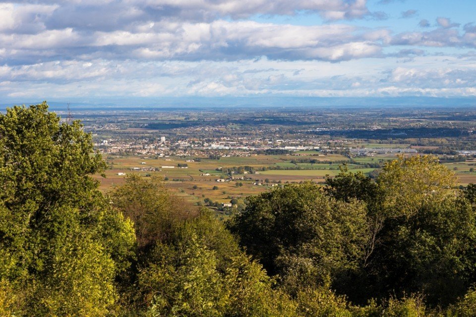 7 Image 7