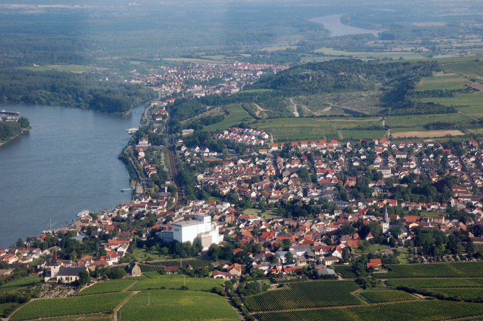 14 Image 14
