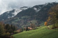 9 Image 9