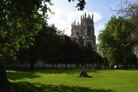 13 Image 13