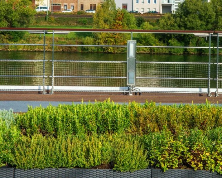 Herb Garden