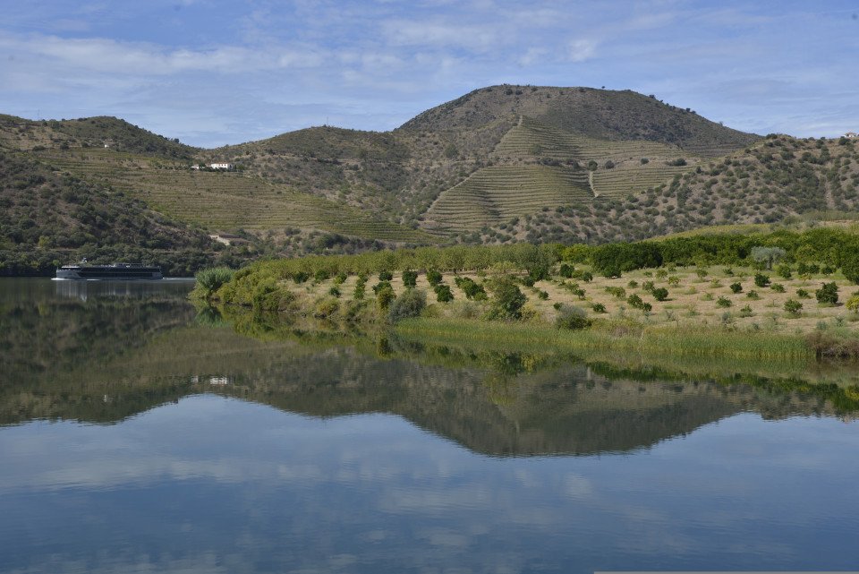 9 Image 9