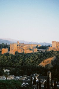 8 Image 8