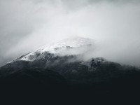 5 Image 5