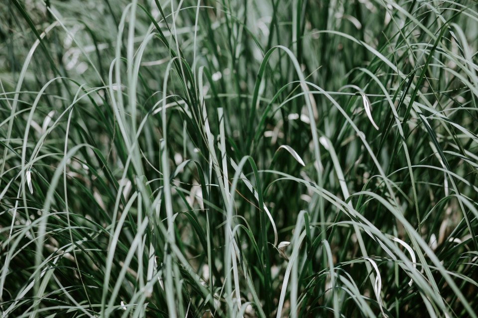 2 Image 2