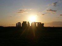 7 Image 7