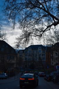 6 Image 6